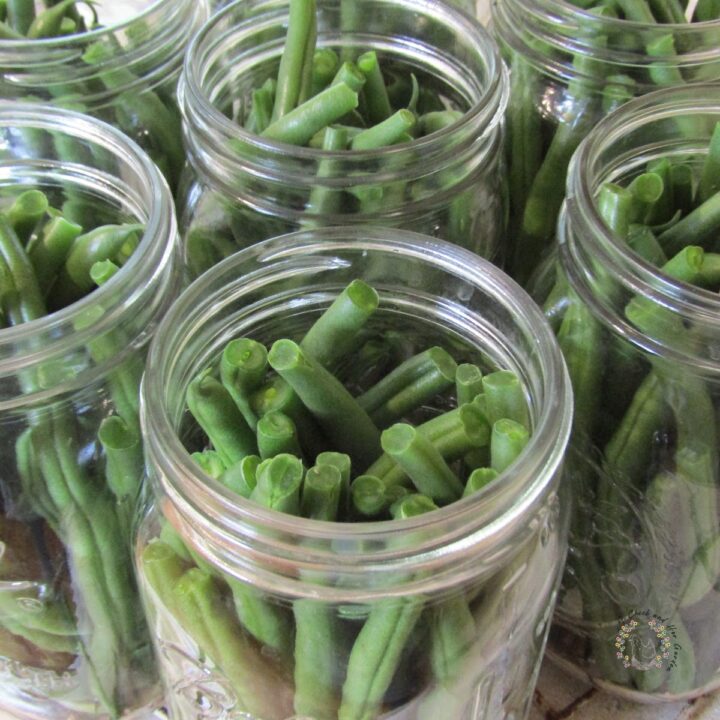 fresh green beans in canning jars