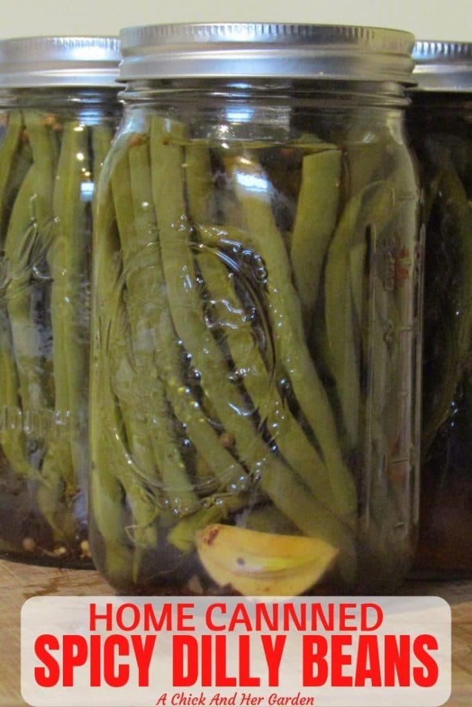 Spicy Dilly Beans A Chick And Her Garden