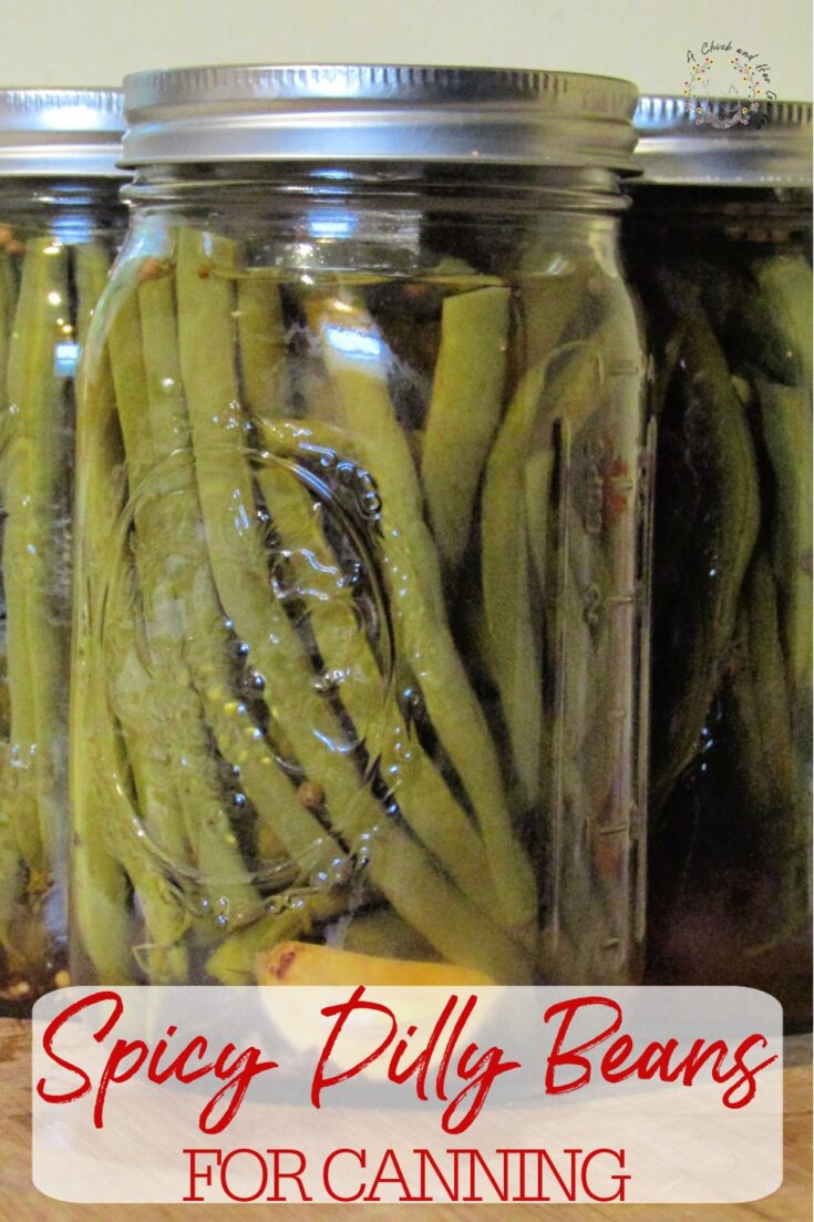 Spicy Dilly Beans A Chick And Her Garden