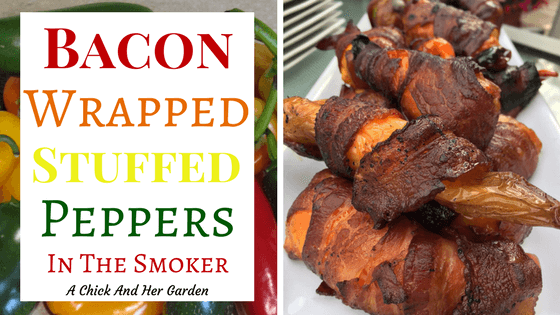 Bacon Wrapped Stuffed Peppers in the Smoker