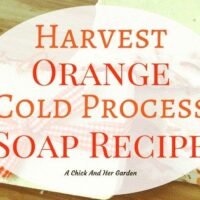 Harvest Orange Soap Recipe
