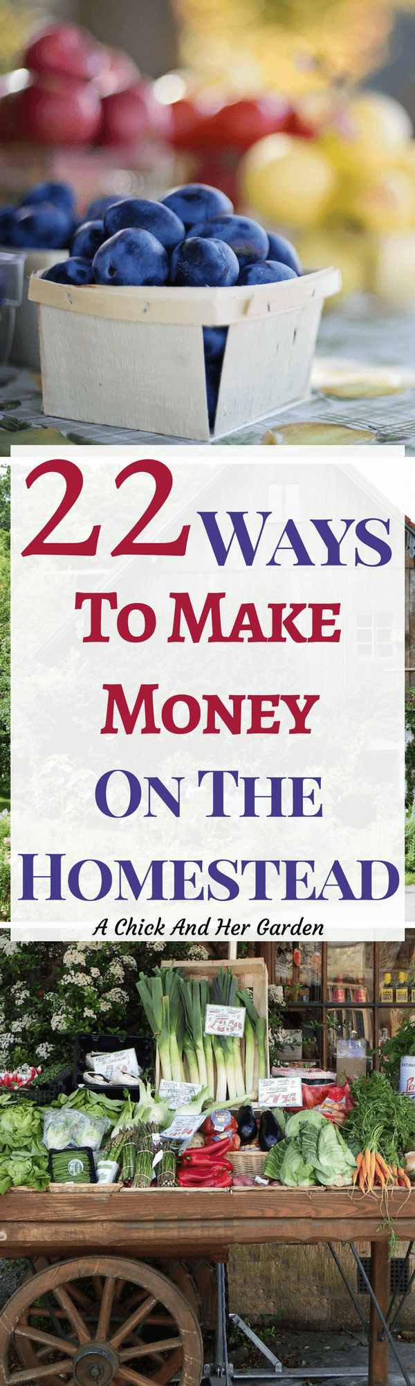 When we homestead we grow and raise our own food. But, unfortunately we still need money. These are awesome and easy ways to make money on the homestead!