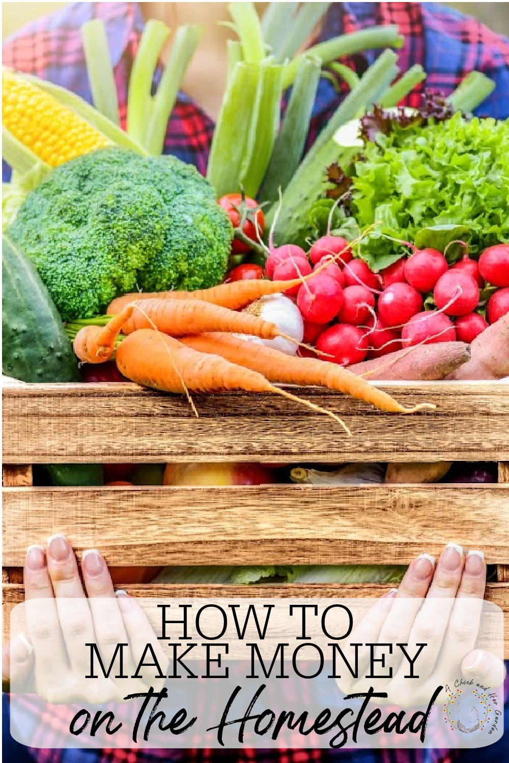 How to Make Money on the Homestead - A Chick And Her Garden