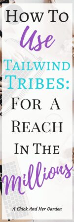 How to Use Tailwind Tribes - A Chick And Her Garden