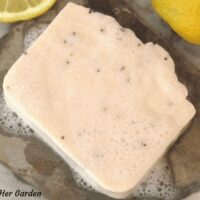 Lemon Poppy Seed Soap Recipe