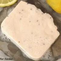 Lemon Poppy Seed Soap Recipe