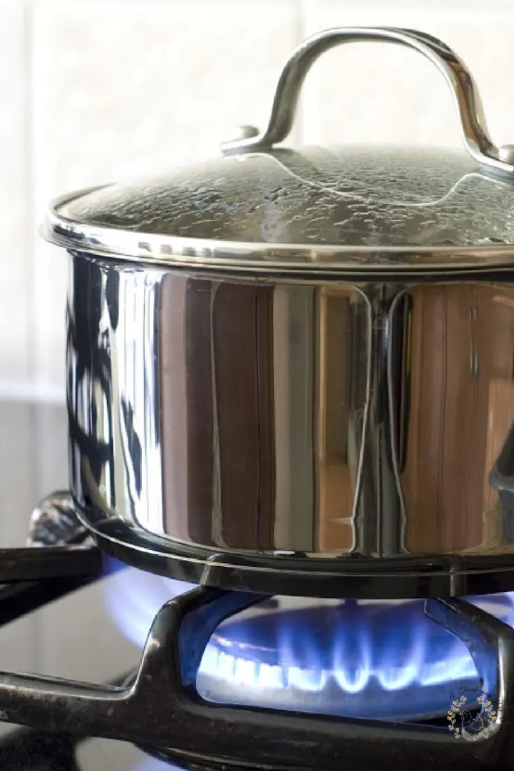 stainless steel sauce pan with a glass lid on a gas burner