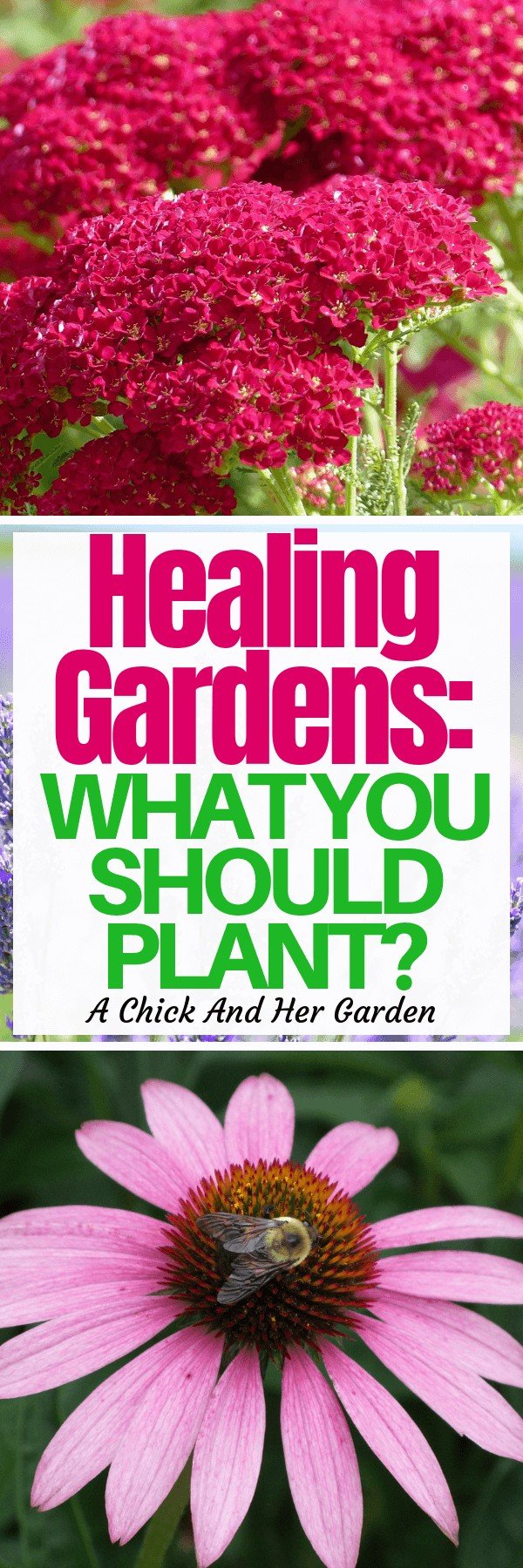What to Plant in a Healing Garden