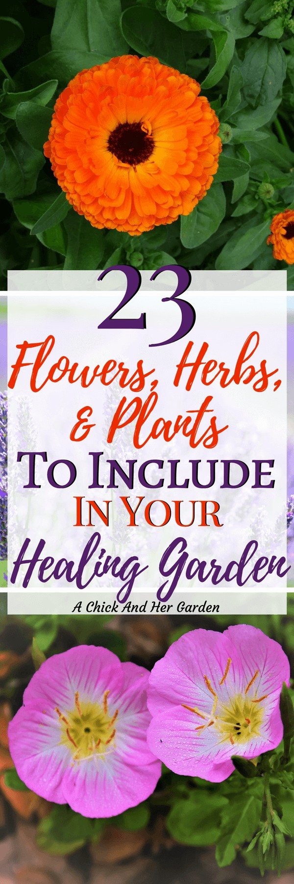 What to Plant in a Healing Garden