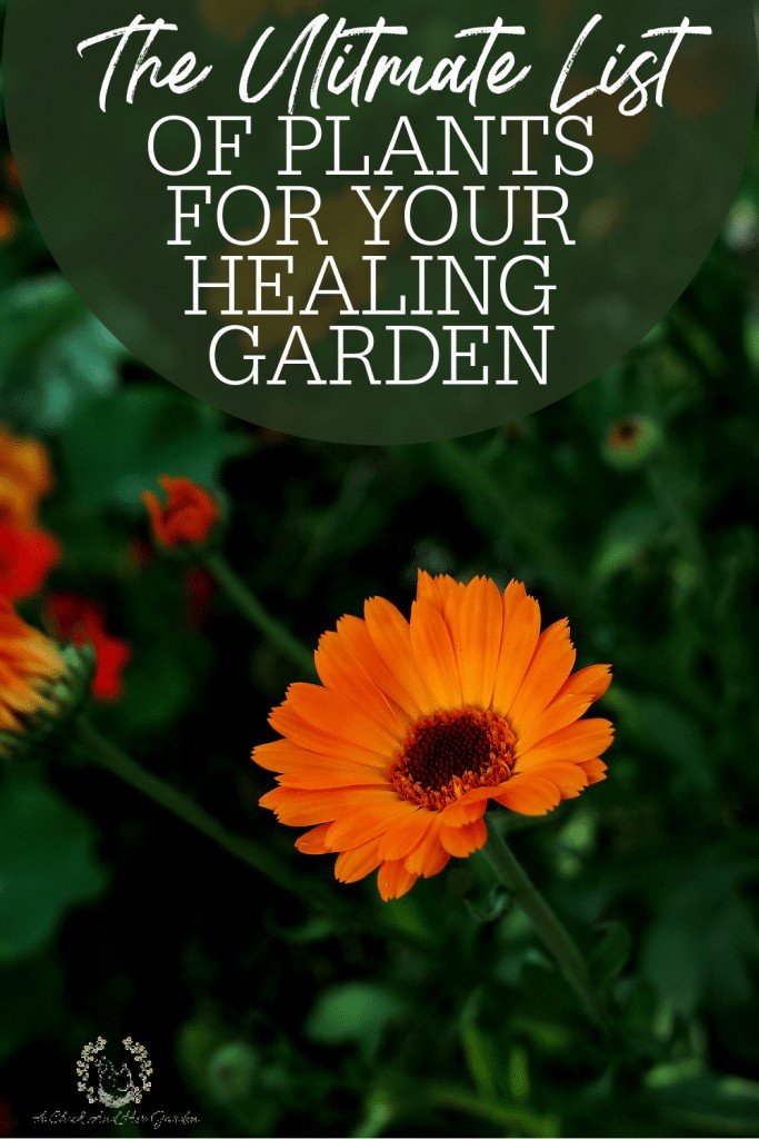 What to Plant in a Healing Garden