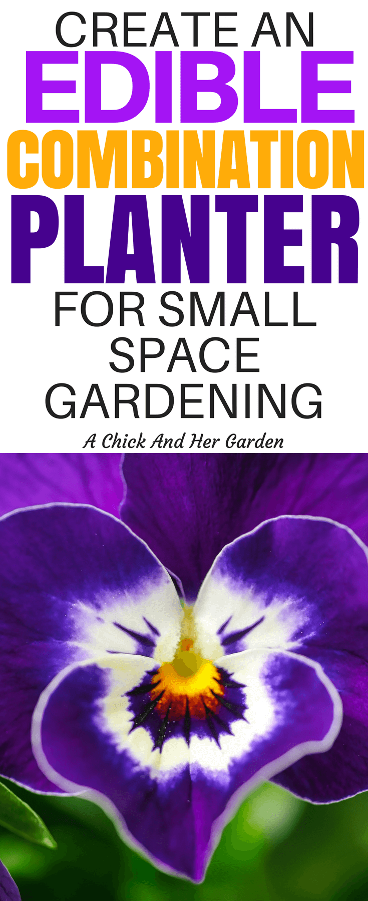 Small space gardening doesn't mean just flowers in pots and veggies where you can fit them! Decorate your space with edible combination planters! There are so many ideas in this post on combining flowers, herbs and vegetables! #combinationplanters #smallspacegardening #ediblelandscape #growfoodnotlawns #homesteadanywhere #achickandhergarden