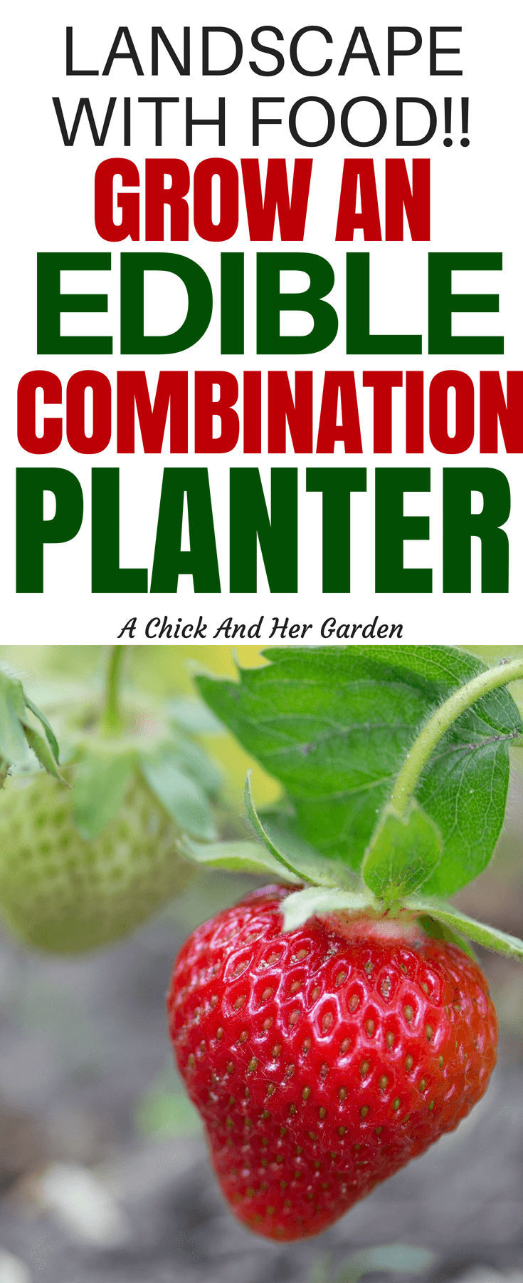 Combination planters don't just have to be about flowers! Grow your own salad bar or herb garden to beautify your landscape! This is a great list of plants to mix and match for color and food! #homesteadanywhere #containergardening #landscape #growfoodnotlawns #smallspacegardening #achickandhergarden
