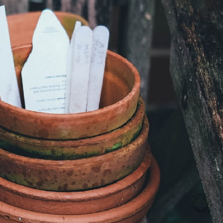 stacked terracotta pots with white plant labels in them on an aged wooden bench