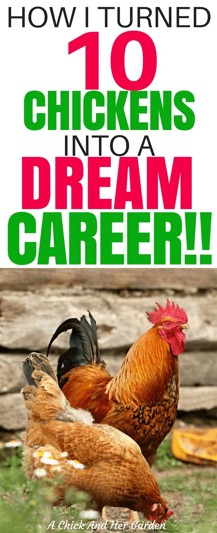 It IS true that you can turn your passion into a career! She turned 10 chickens into the job of her dreams! #homesteadliving #makemoneyonline #makemoneyfromhome #workfromhome #achickandhergarden