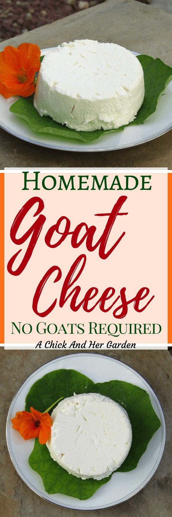 I'm in love with goat cheese! I've always wanted to learn how to make goat cheese and am so glad I finally tried this! It was so easy! #makecheese #goatcheese #recipesfromscratch #goatmilkrecipes #achickandhergarden