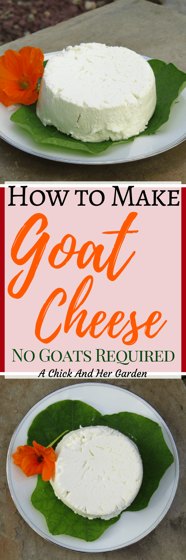 I've wanted to learn how to make goat cheese for a long time, but put it off thinking it would be hard. I was surprised how easy this was and have already made goat cheese 3 times this week! #makeyourowncheese #goatcheese #howtomakecheese #fromscratchcooking #achickandhergarden