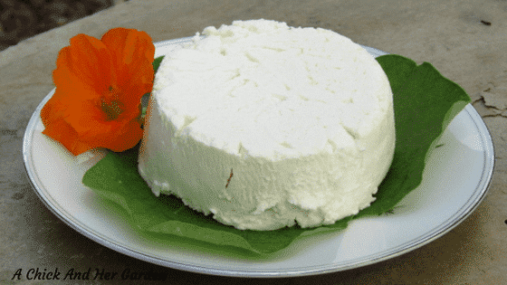 How to Make Goat Cheese, Chèvre