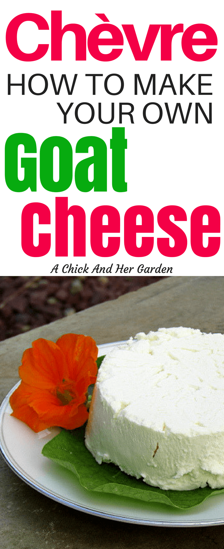 If you're a goat cheese lover but have never tried fresh, homemade goat cheese, you have to try this recipe! It was so easy and turned out creamy and delicious! Not to mention only 4 ingredients and no rennet needed! #cheesemaking #goatcheeserecipes #homemadecheese #fromscratchcooking #homesteadrecipes #achickandhergarden