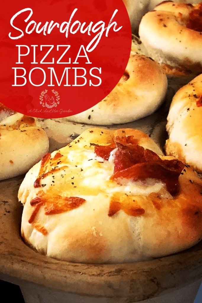 Sourdough Pizza Bombs Recipe