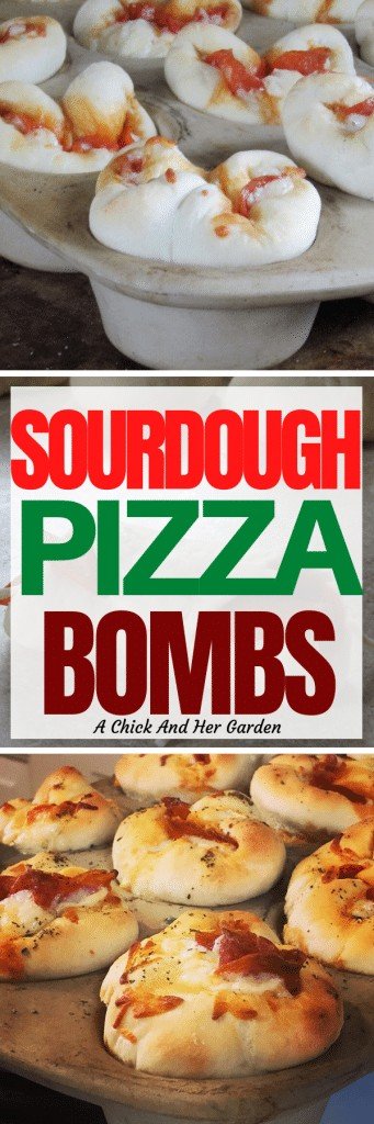 Sourdough Pizza Bombs Recipe