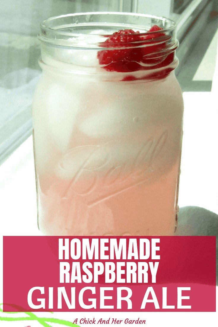 Raspberry Ginger Ale with 6 ingredients that you can pronounce?! I was so excited to try this recipe for raspberry ginger ale. It was so refreshing without all those "ingredients" that you can't even pronounce! #fromscratch #cleaneating #makeityourself #raspberryrecipes #gingerale #achickandhergarden