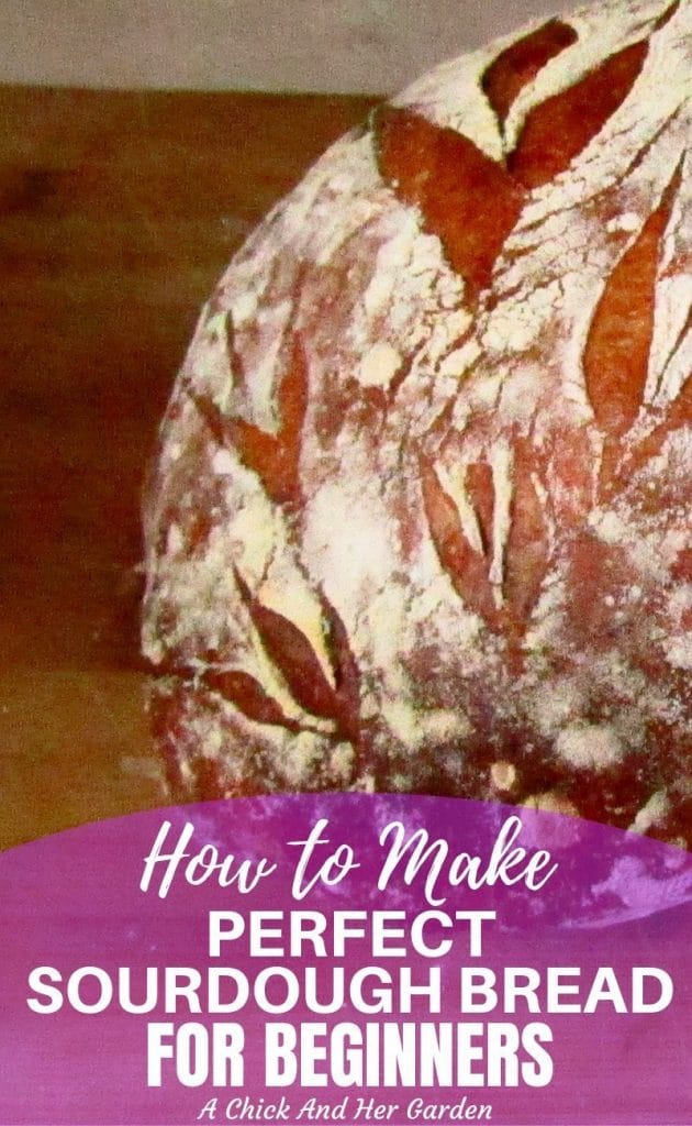 I was terrified of artisan sourdough bread! It seemed almost impossible to make this beautiful bread in my kitchen at home, until I stumbled upon this post and realized just how easy it is! #sourdoughbread #sourdoughrecipes #artisanbread #breadrecipes #fromscratchbaking #achickandhergarden