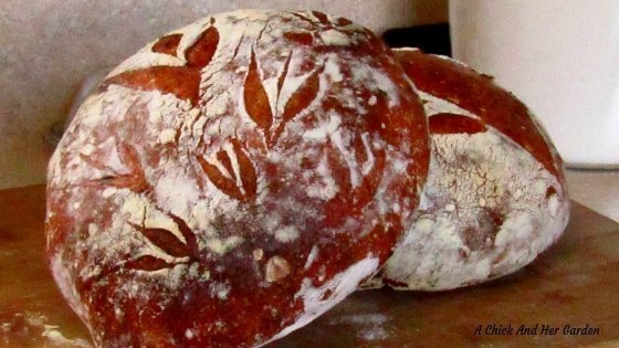 Artisan Sourdough Bread