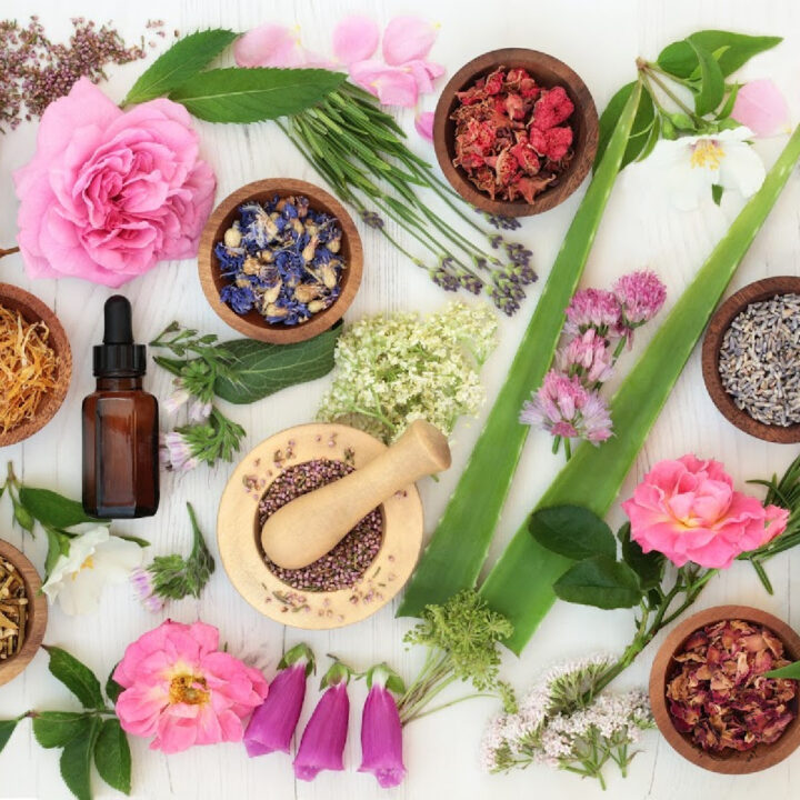 Healing flower and herb selection used in natural alternative medicine on distressed white wood background.